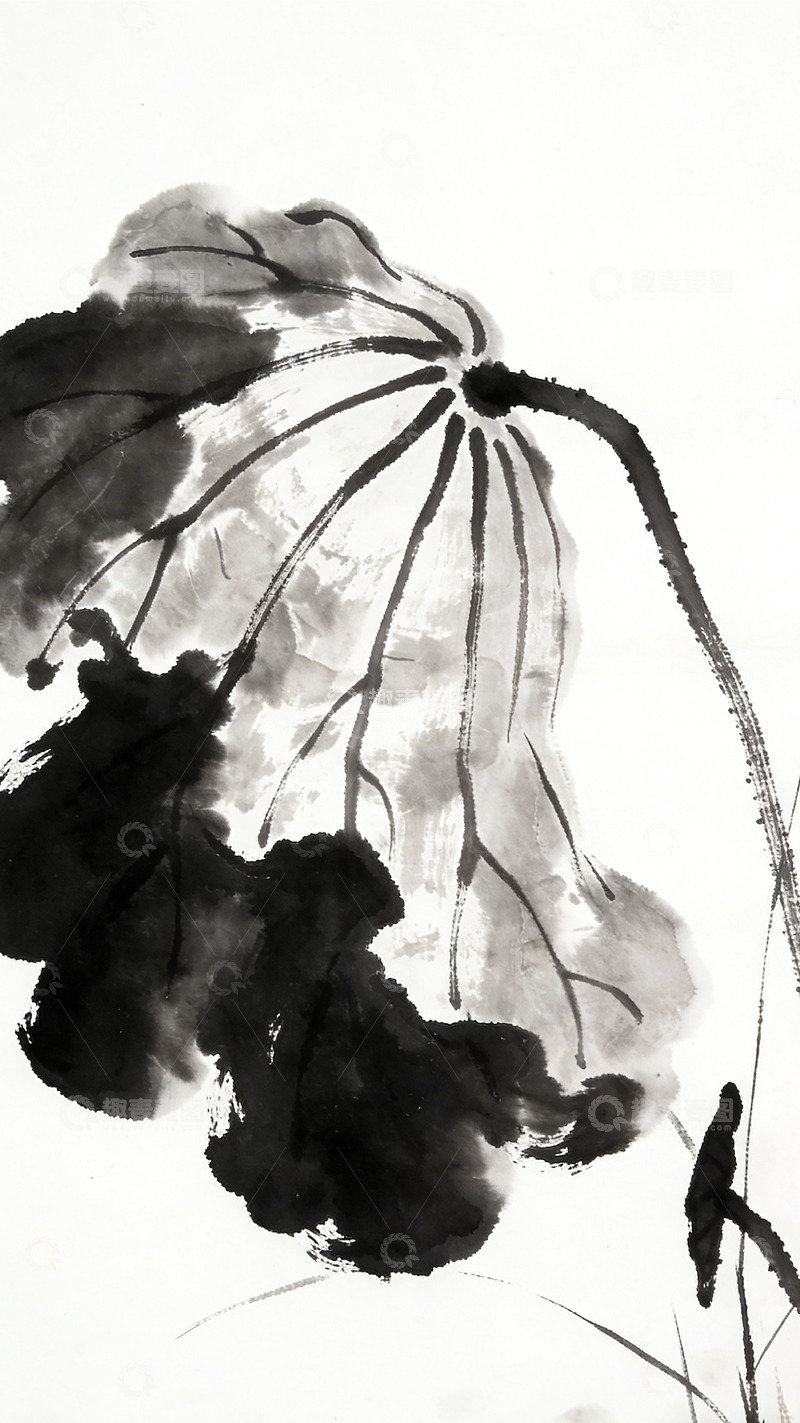 高清大图下载【趣麦麦图】水墨荷花国画艺术