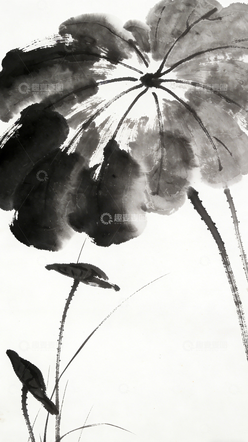 高清大图下载【趣麦麦图】水墨荷花国画艺术画作