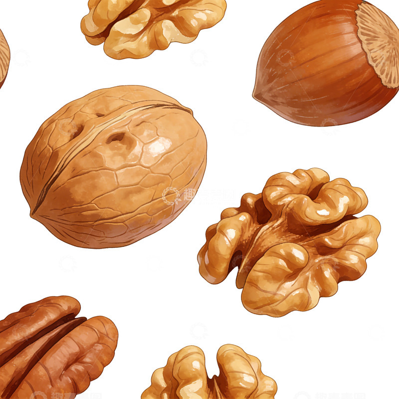 高清大图下载【趣麦麦图】手绘核桃坚果插画设计素材