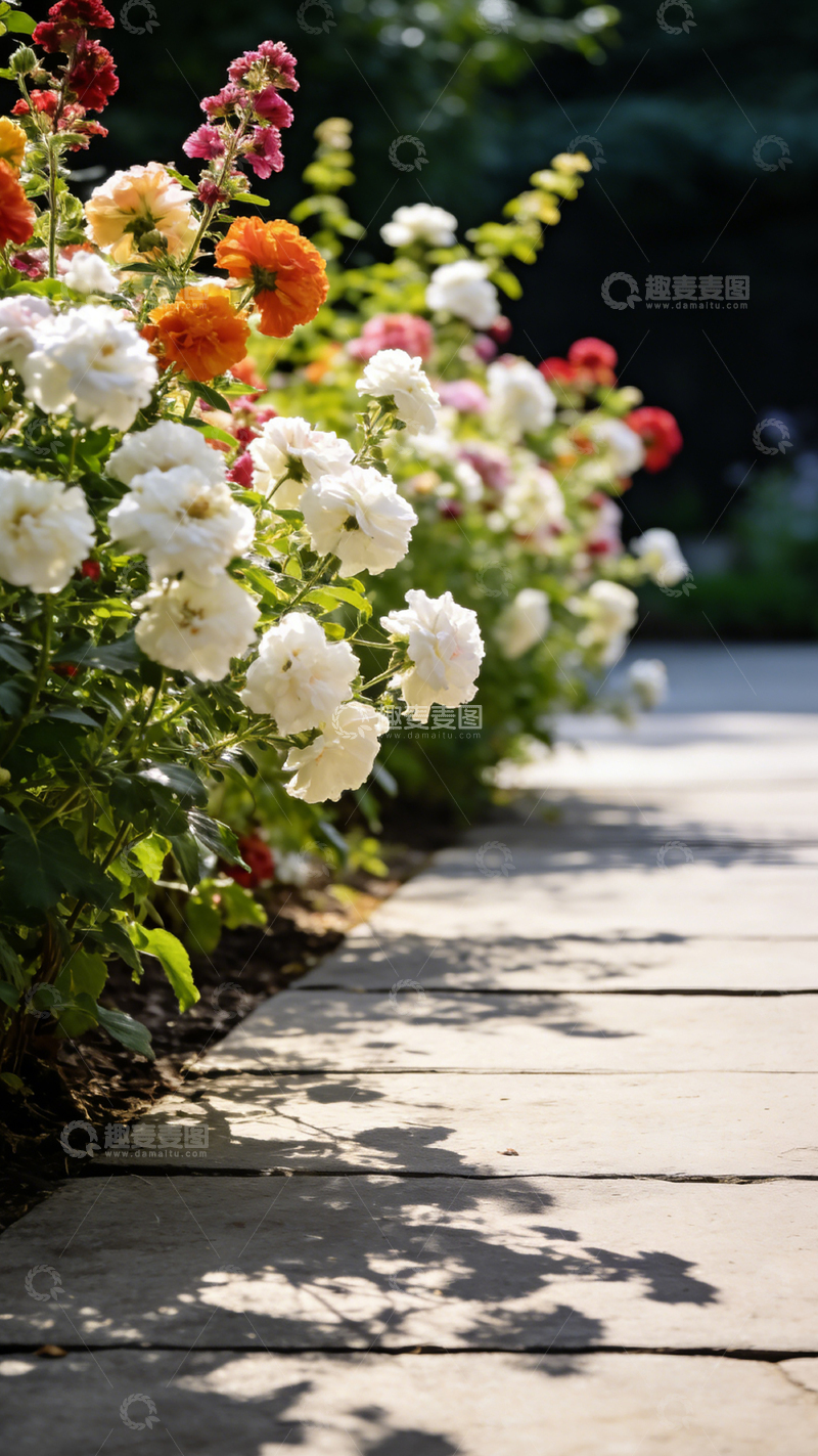 高清大图下载【趣麦麦图】花园小径鲜花盛开美景