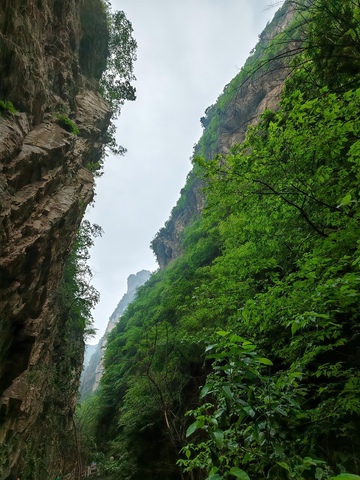 峡谷翠绿风景自然摄影