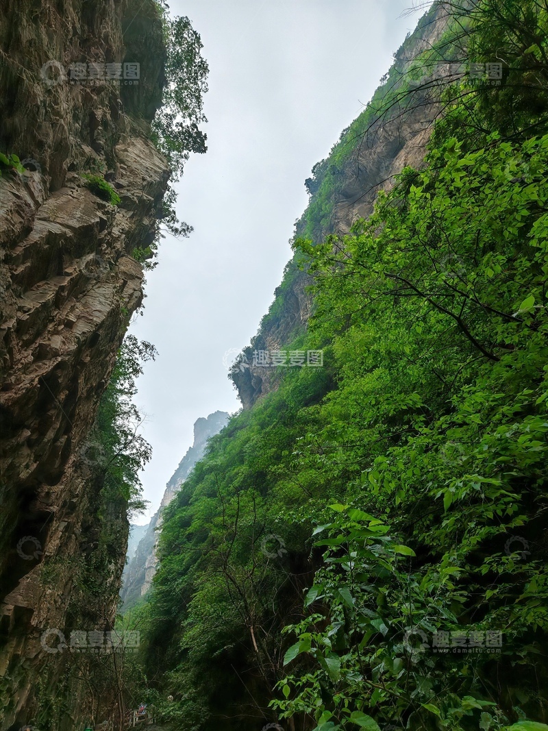 高清大图下载【趣麦麦图】峡谷翠绿风景自然摄影
