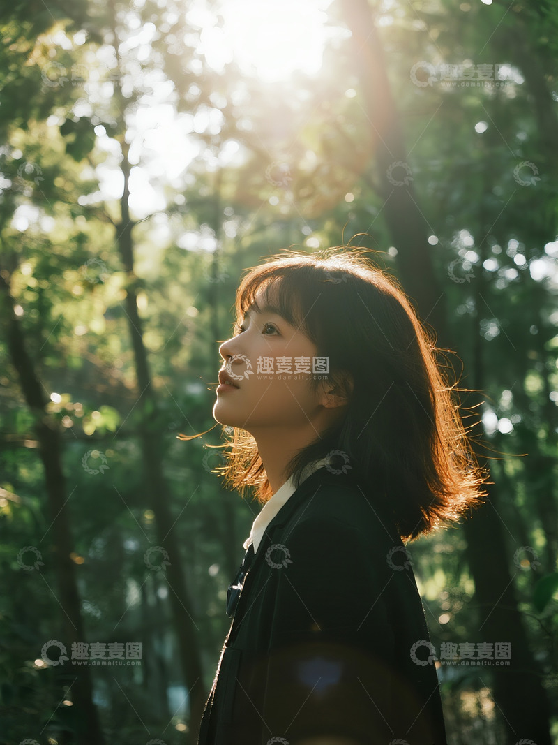 高清大图下载【趣麦麦图】光影斑驳的树林6