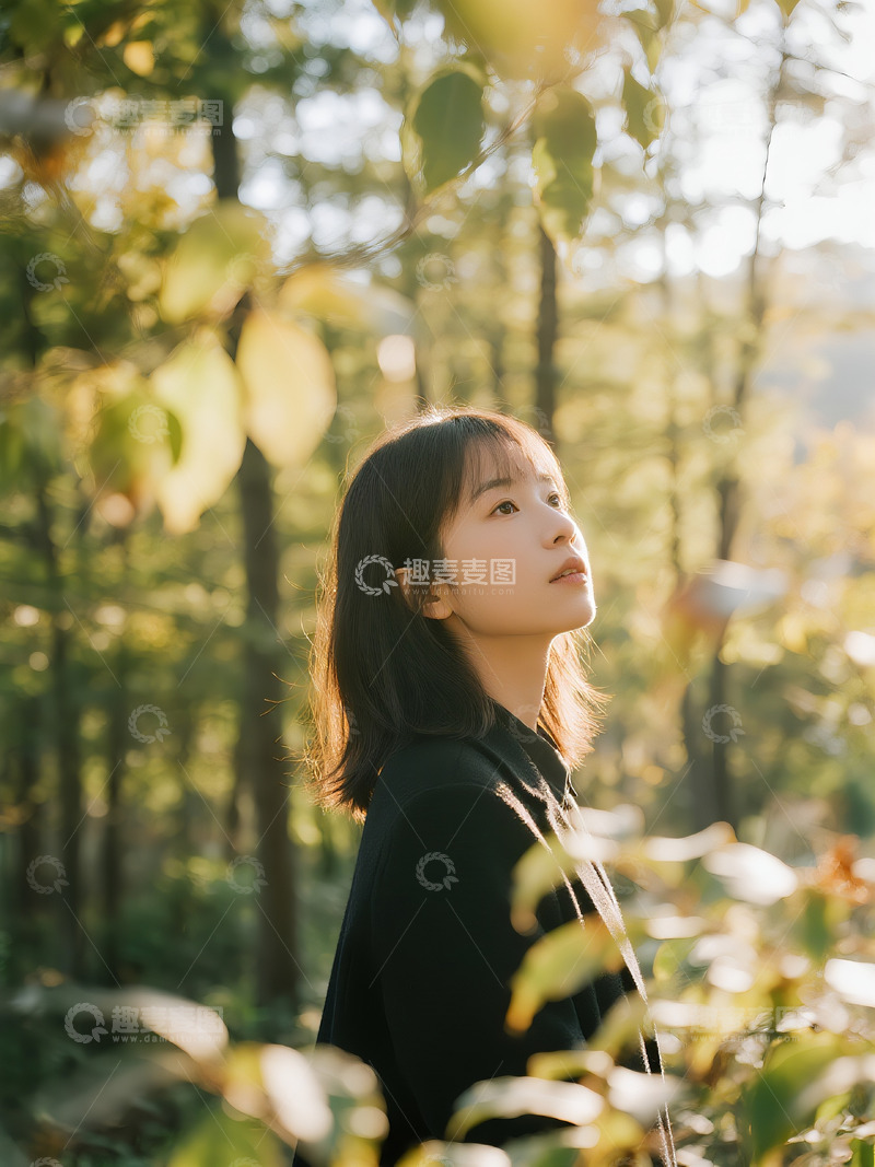 高清大图下载【趣麦麦图】光影斑驳的树林4