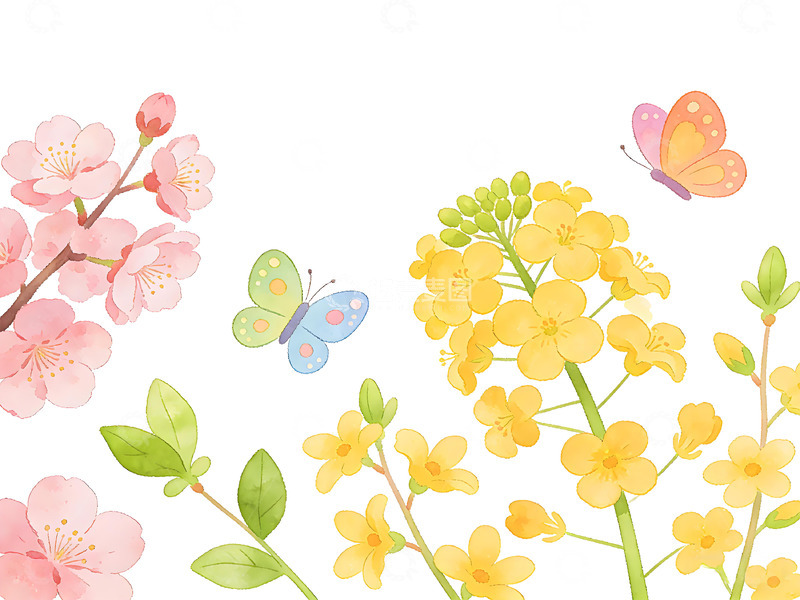 高清大图下载【趣麦麦图】春天花卉蝴蝶手绘插画