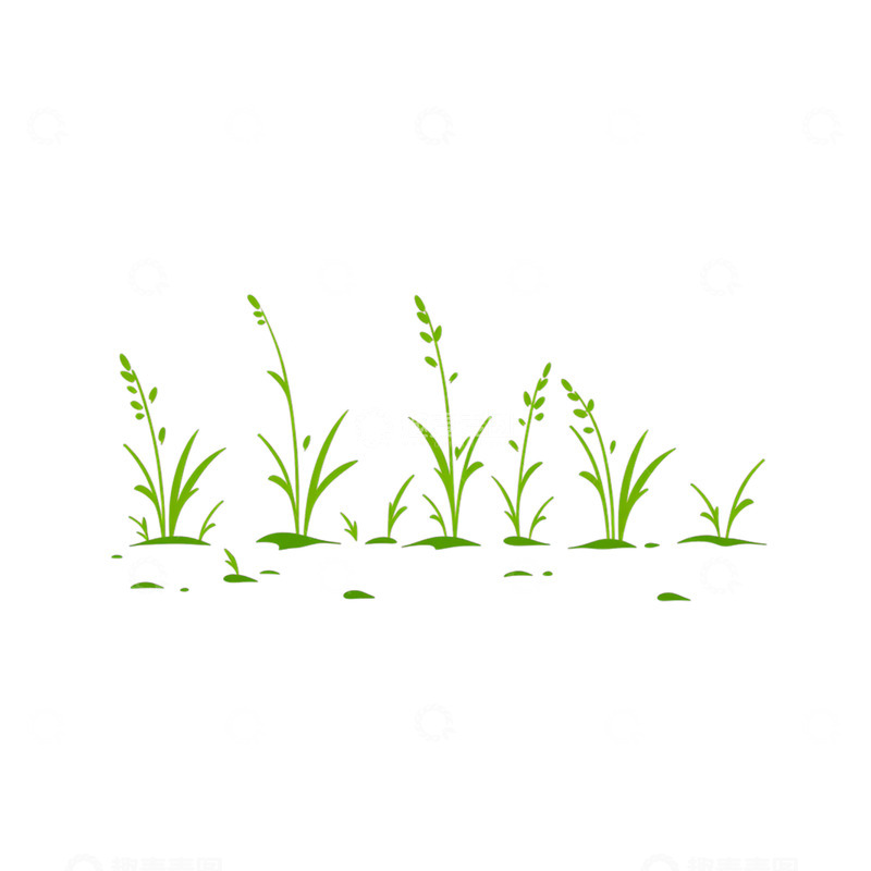 高清大图下载【趣麦麦图】春草繁茂的生命奇迹