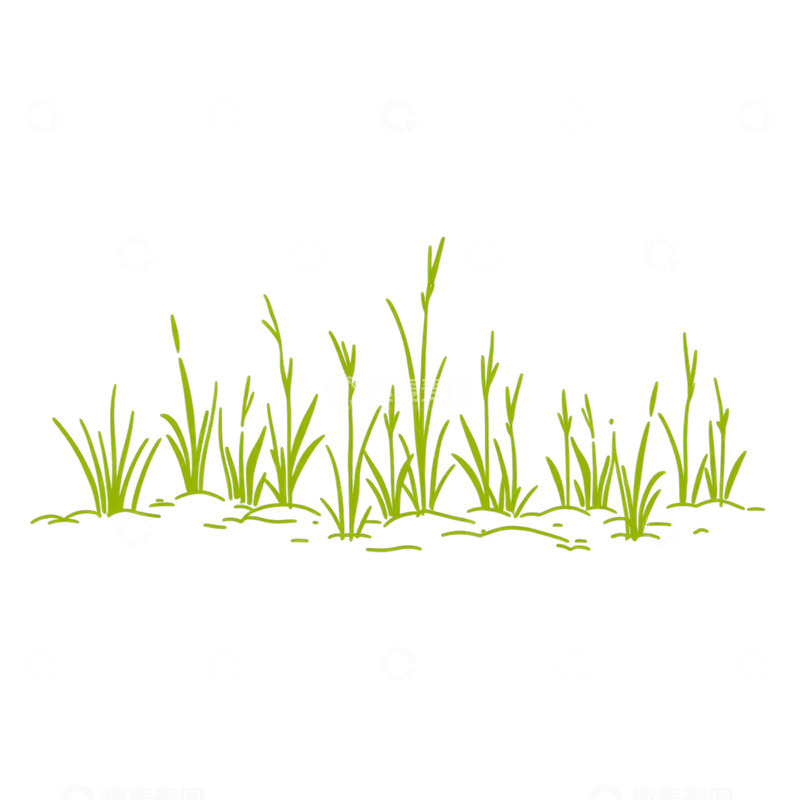 高清大图下载【趣麦麦图】春日萌芽的绿意奇迹