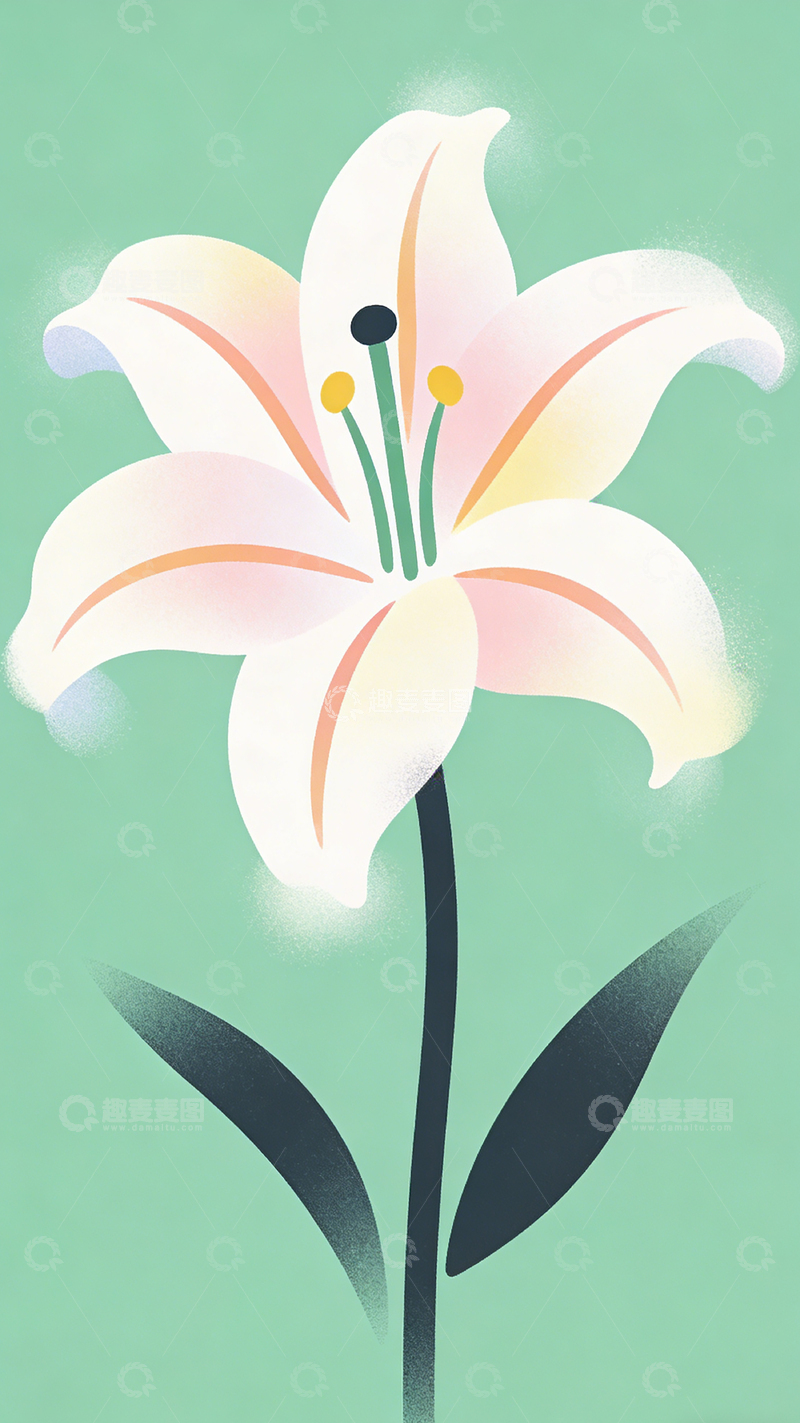 高清大图下载【趣麦麦图】简约百合花插画设计