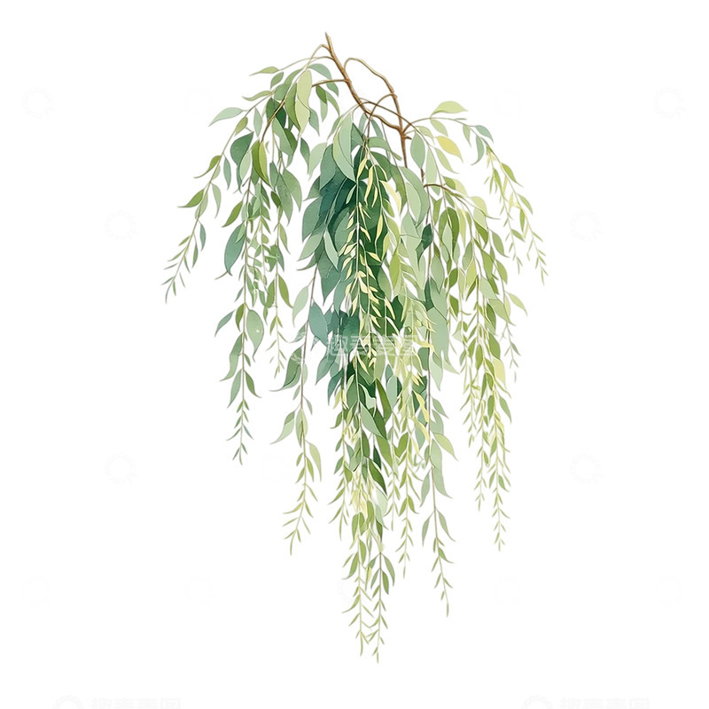 高清大图下载【趣麦麦图】垂柳柔韧如画卷流淌