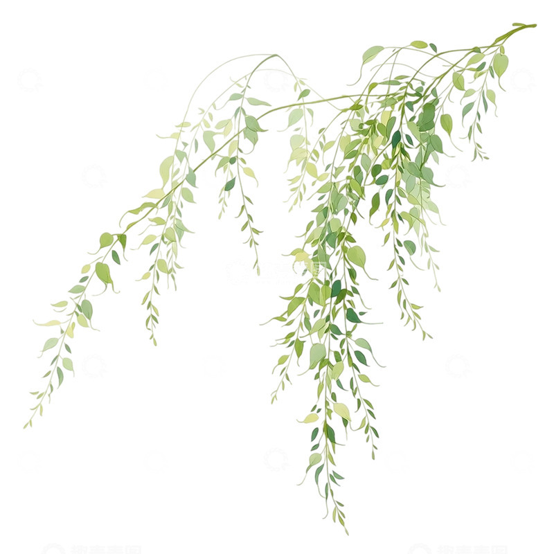 高清大图下载【趣麦麦图】柳影婆娑风中曼舞