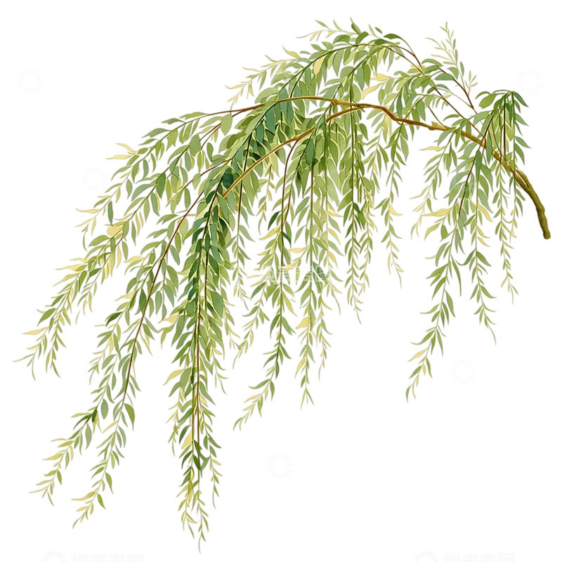 高清大图下载【趣麦麦图】柳叶飘零似水墨画卷