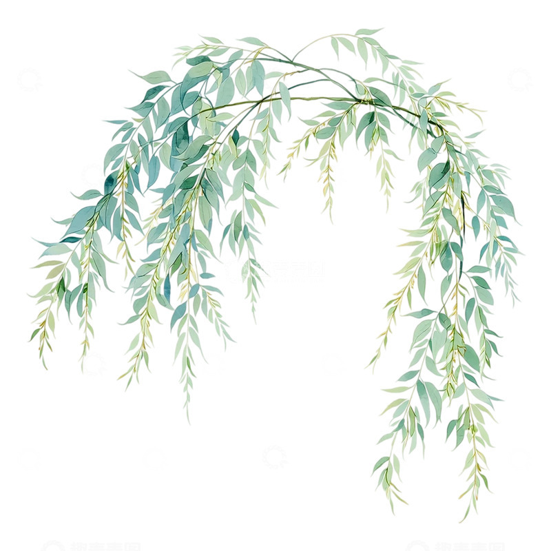 高清大图下载【趣麦麦图】落英缀翠柳枝细腻柔韧