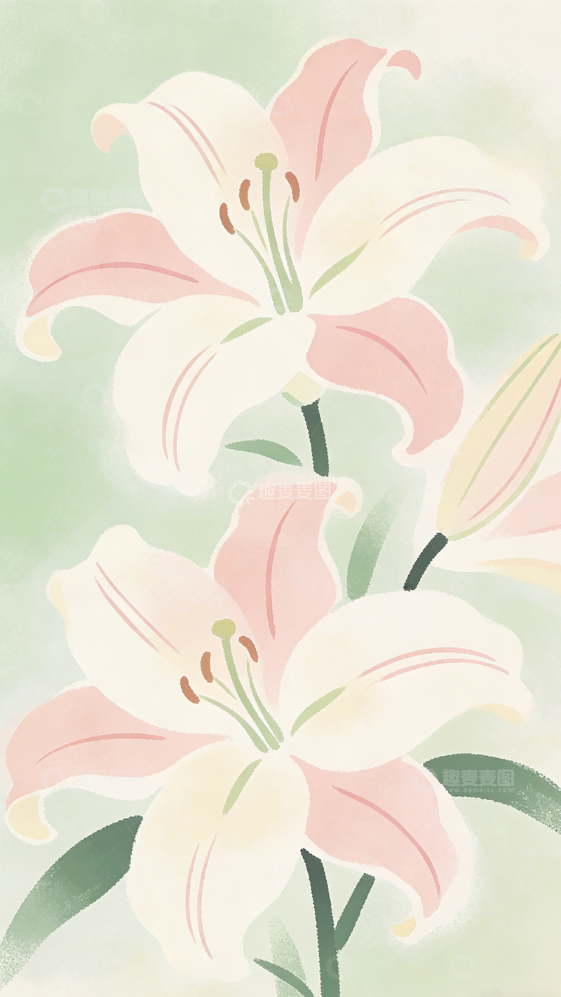 高清大图下载【趣麦麦图】水彩百合花插画壁纸