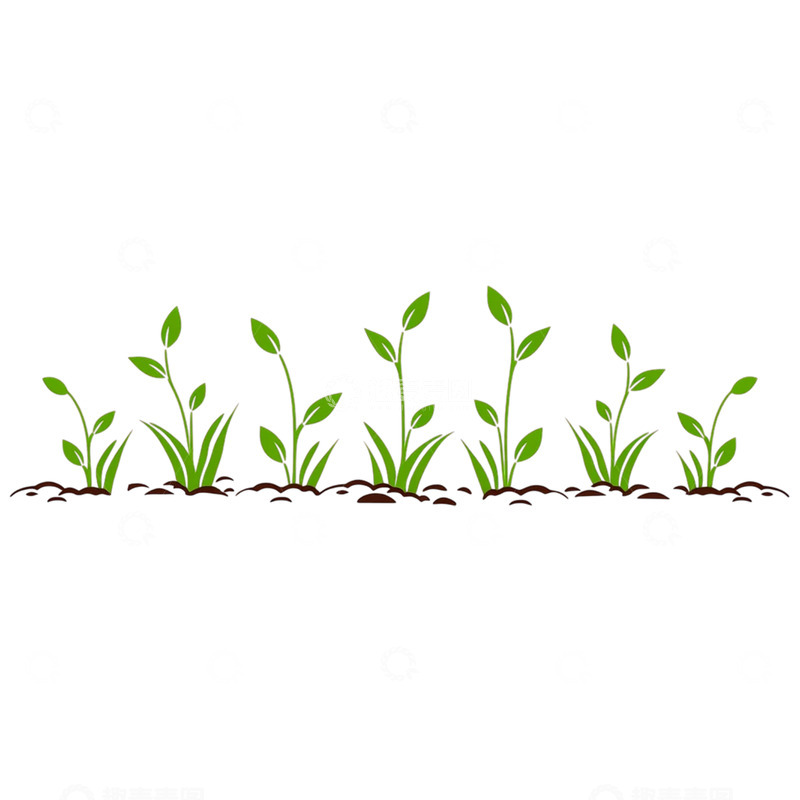 高清大图下载【趣麦麦图】春意萌动的绿色希望