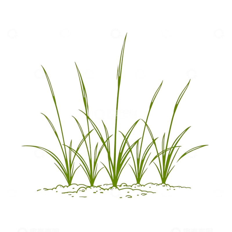 高清大图下载【趣麦麦图】春日萌芽细语绽放