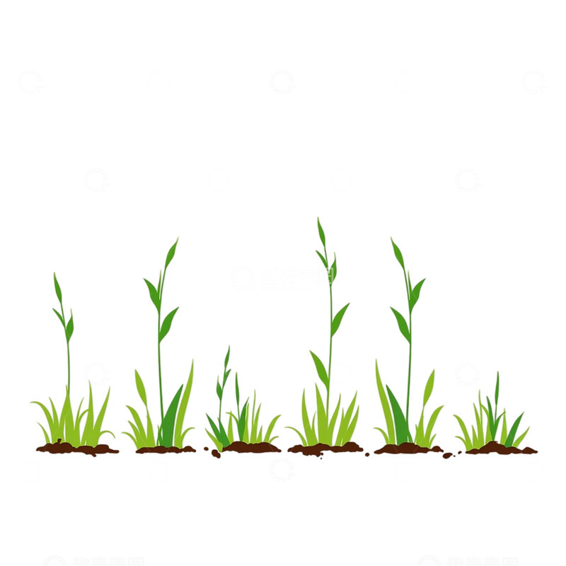 高清大图下载【趣麦麦图】春意盎然的绿色蓬勃生长