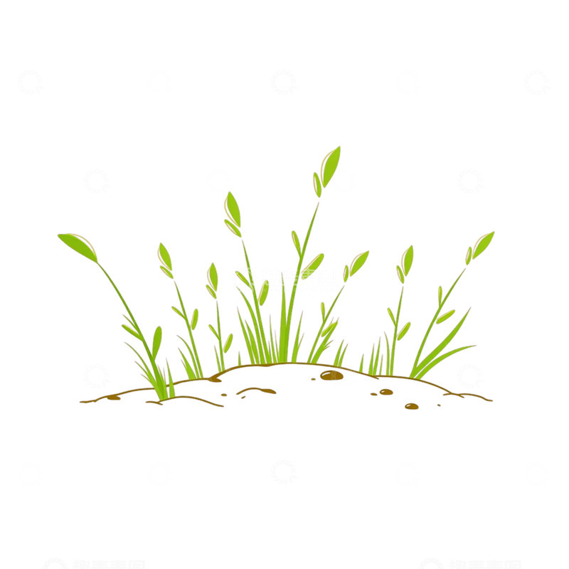 高清大图下载【趣麦麦图】春意萌动青草泛绿