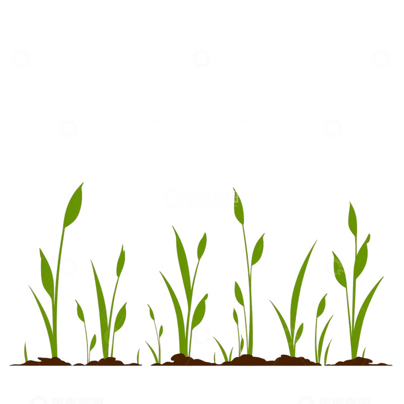 高清大图下载【趣麦麦图】春日萌芽之舞绚烂绽放