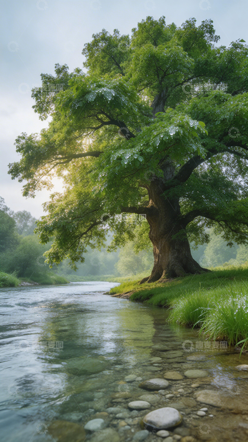 高清大图下载【趣麦麦图】河畔大树风光摄影