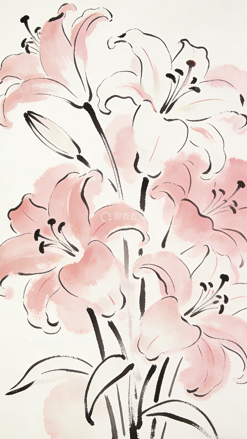 高清大图下载【趣麦麦图】水墨百合花国画风格花卉绘画