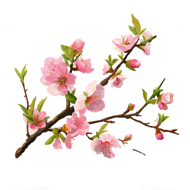 高清大图下载【趣麦麦图】粉色花海映白云