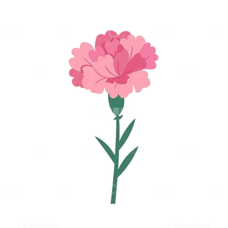 高清大图下载【趣麦麦图】柔情似水的粉色花语传奇