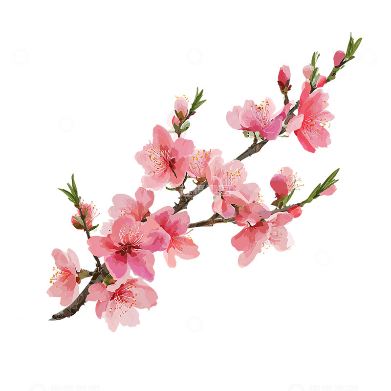 高清大图下载【趣麦麦图】桃花盛开春意盎然