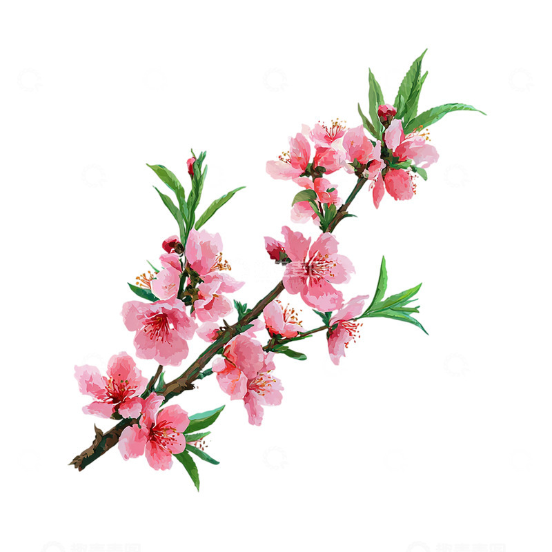 高清大图下载【趣麦麦图】桃花盛开如梦似幻缤纷