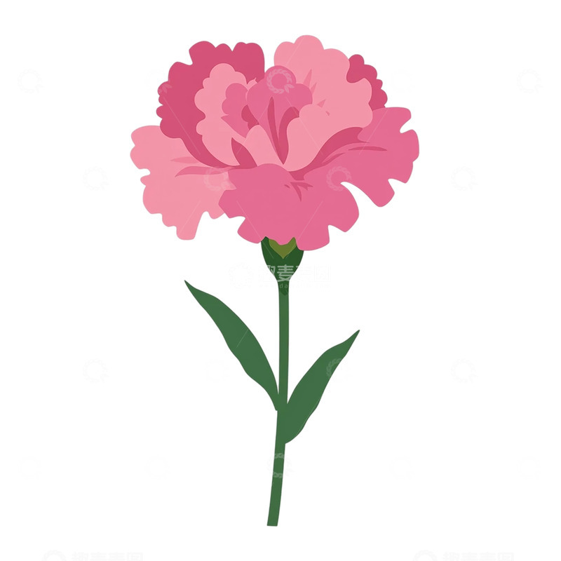 高清大图下载【趣麦麦图】粉色康乃馨的梦幻之舞