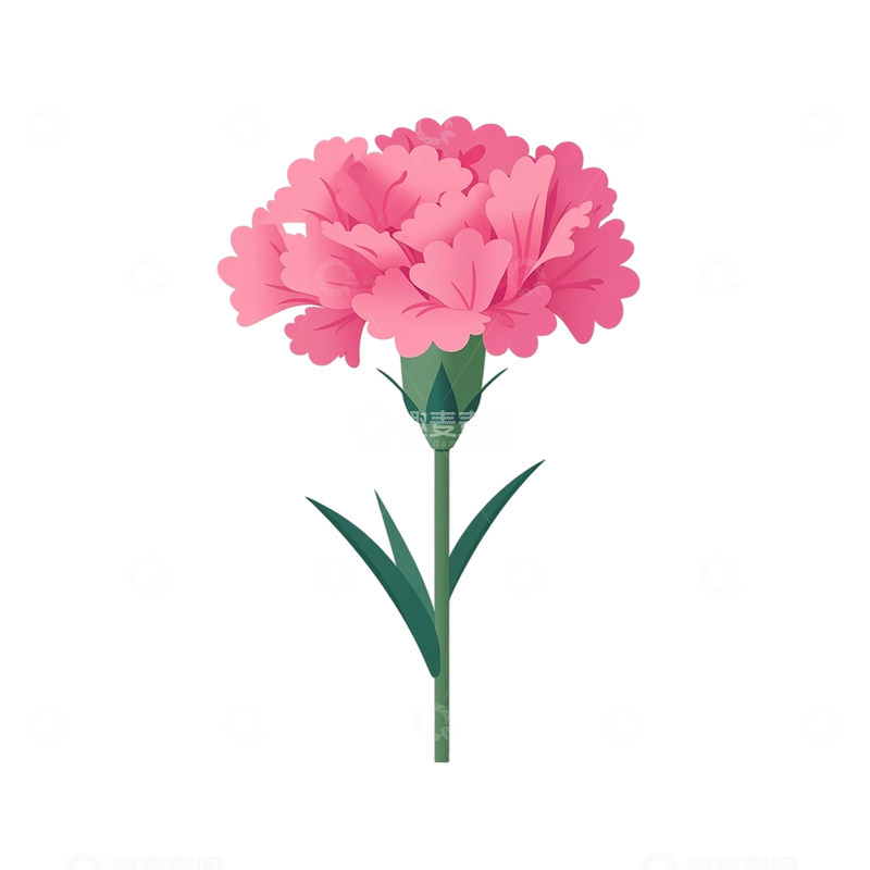 高清大图下载【趣麦麦图】粉色康乃馨的梦幻花海奇遇