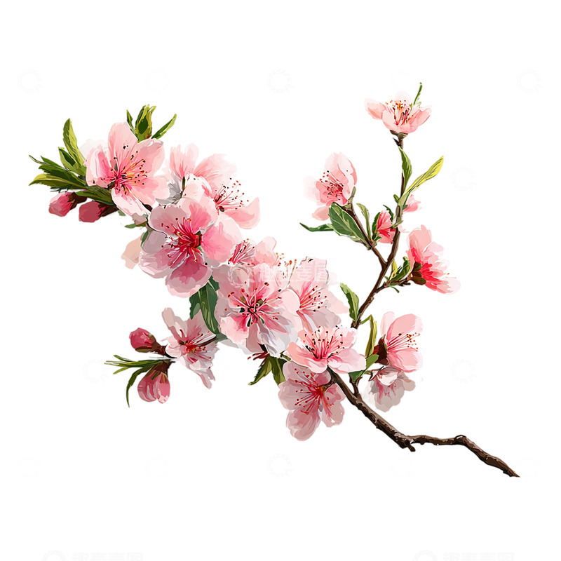 高清大图下载【趣麦麦图】桃花盛开的梦境之旅