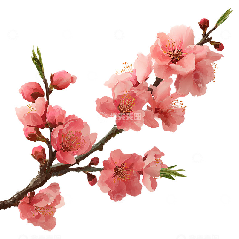 高清大图下载【趣麦麦图】桃花盛放如梦似幻