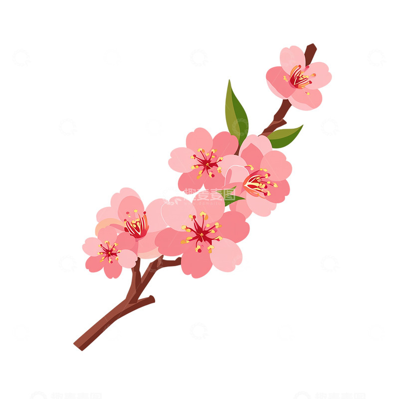 高清大图下载【趣麦麦图】春日桃花盛开缤纷世界