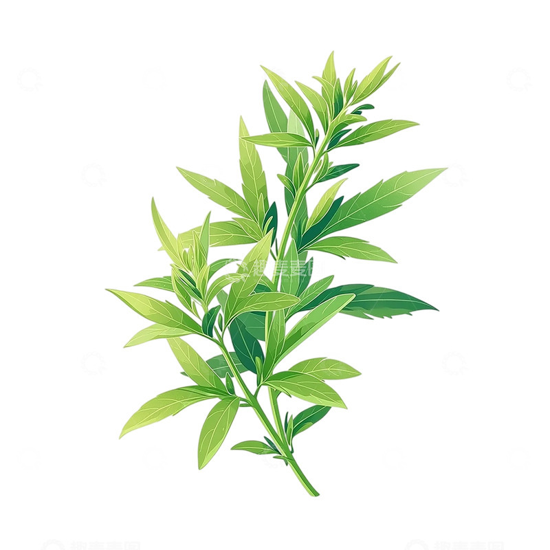 高清大图下载【趣麦麦图】融魂艾草的绿意盛放