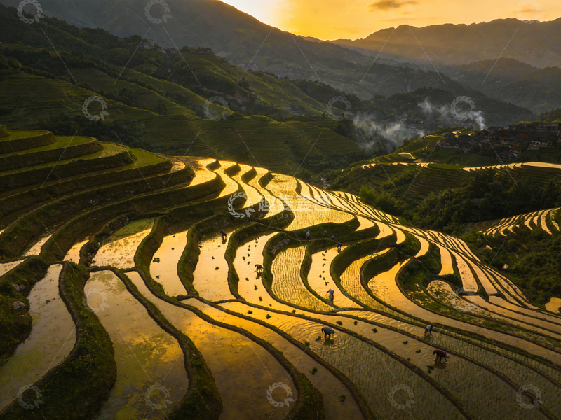 高清大图下载【趣麦麦图】梯田风光自然美景摄影图片