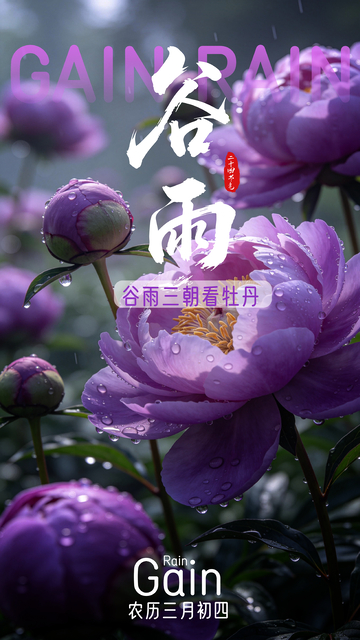 二十四节气谷雨海报