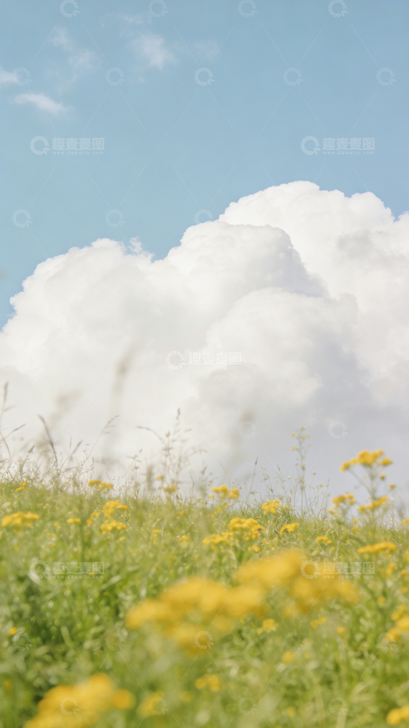 高清大图下载【趣麦麦图】田园风光油菜花蓝天白云壁纸