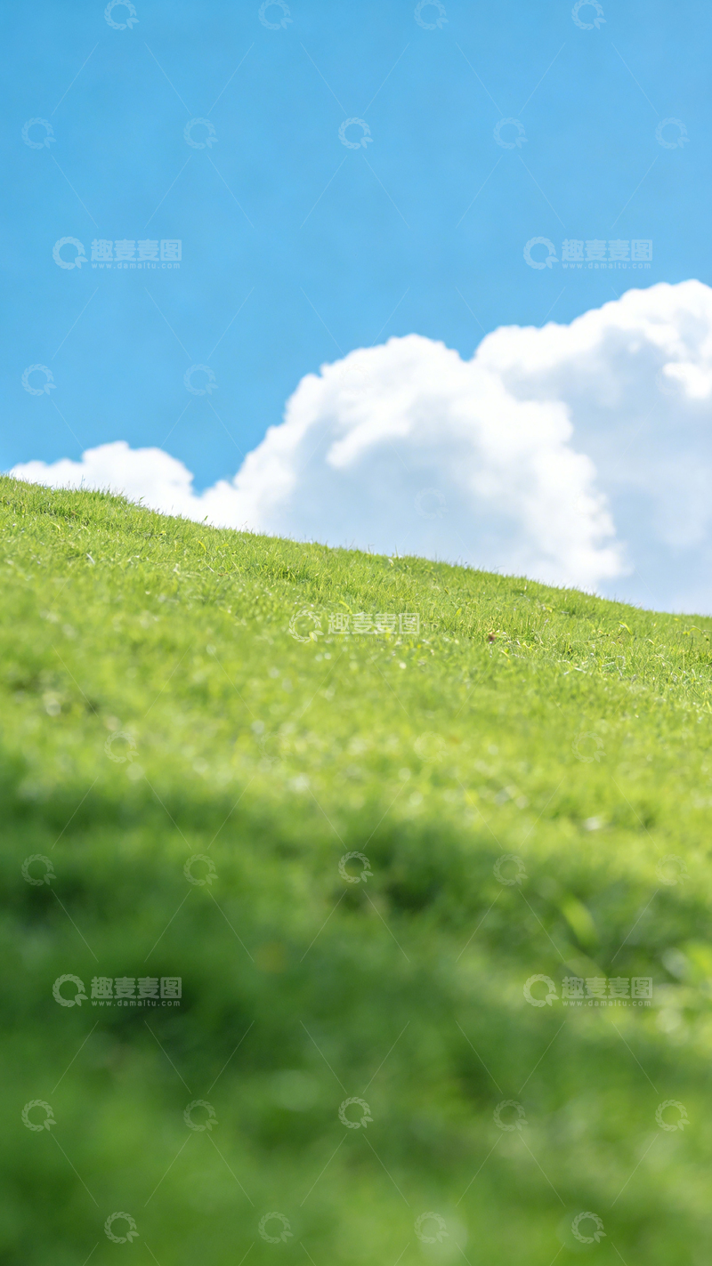高清大图下载【趣麦麦图】清新绿草蓝天白云风景