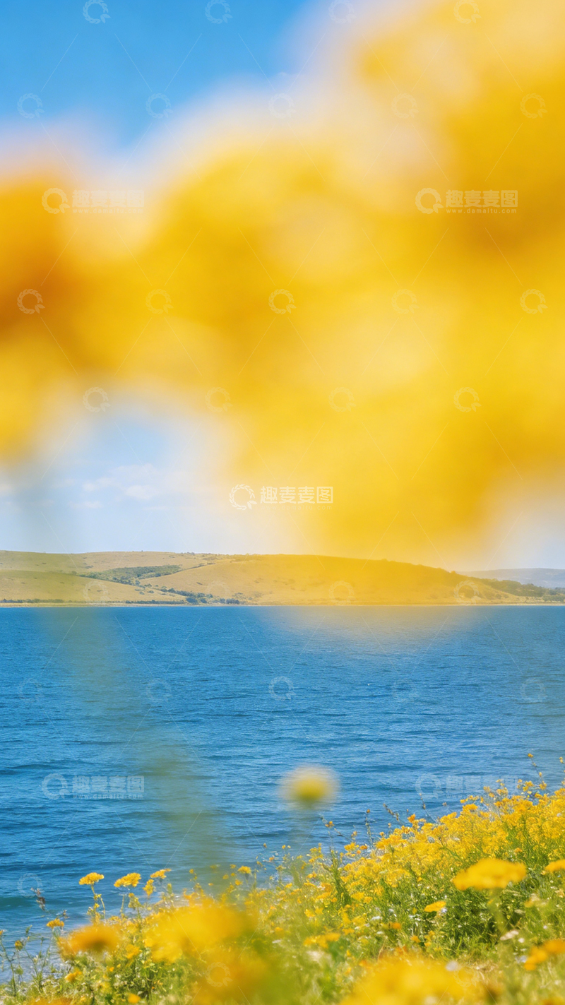 高清大图下载【趣麦麦图】湖畔黄花美景