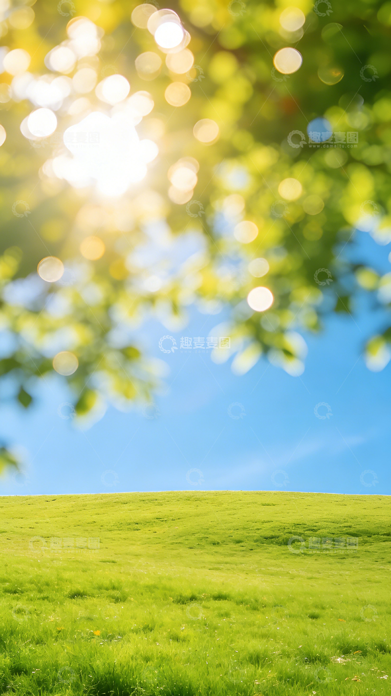 高清大图下载【趣麦麦图】阳光草地风景自然摄影
