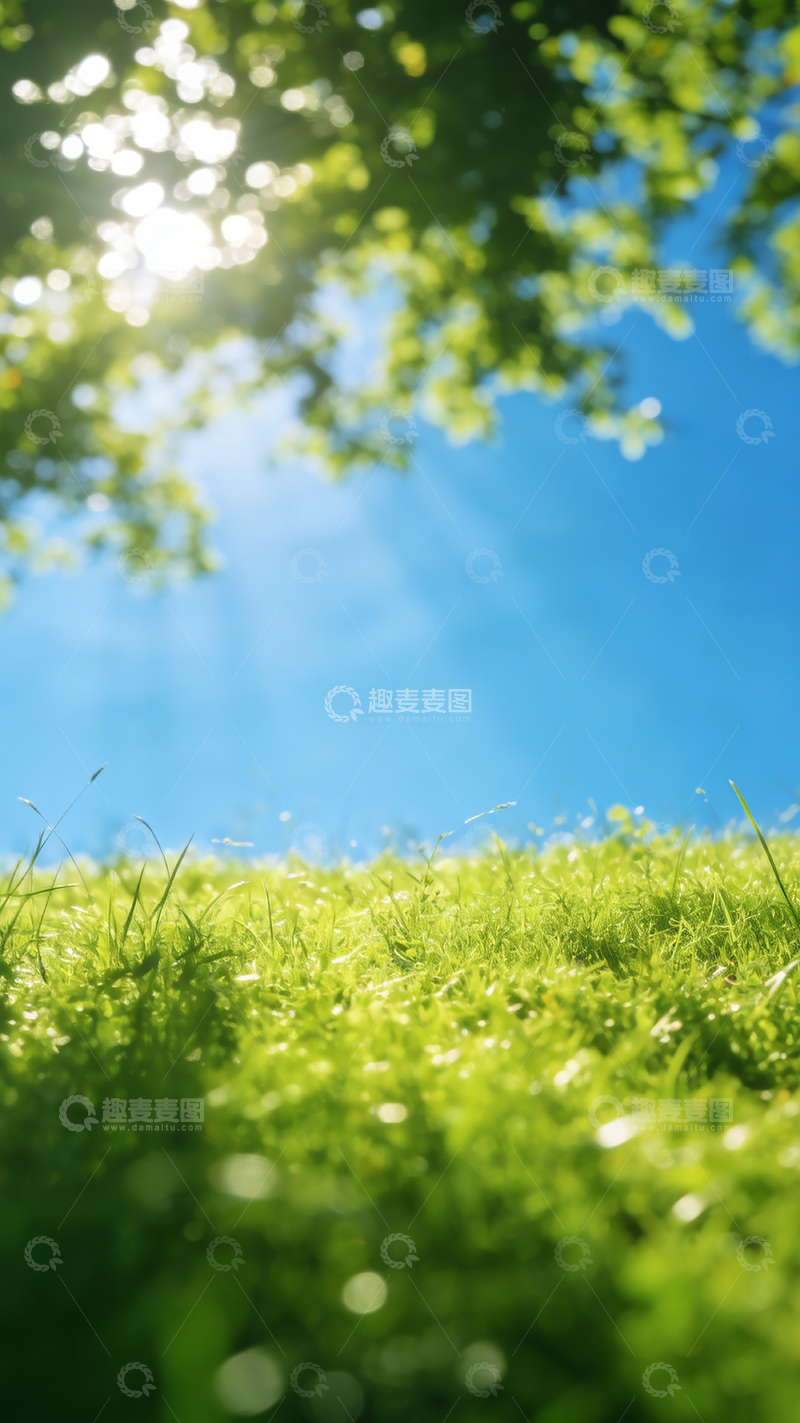 高清大图下载【趣麦麦图】阳光草地美景摄影