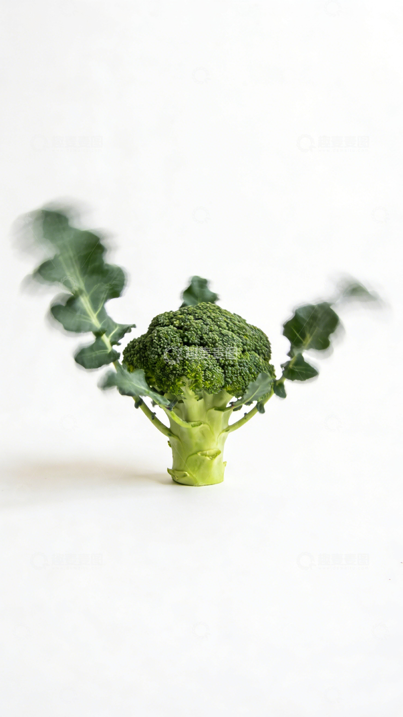 高清大图下载【趣麦麦图】清新西兰花蔬菜摄影图片