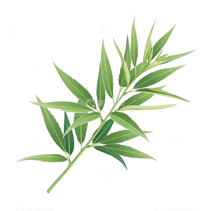 高清大图下载【趣麦麦图】轻拂春风的艾草叶海