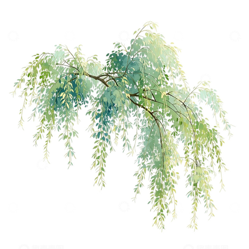 高清大图下载【趣麦麦图】翠绿柳枝的梦幻飘逸