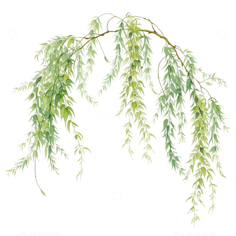 高清大图下载【趣麦麦图】春意盎然柳枝轻摇风