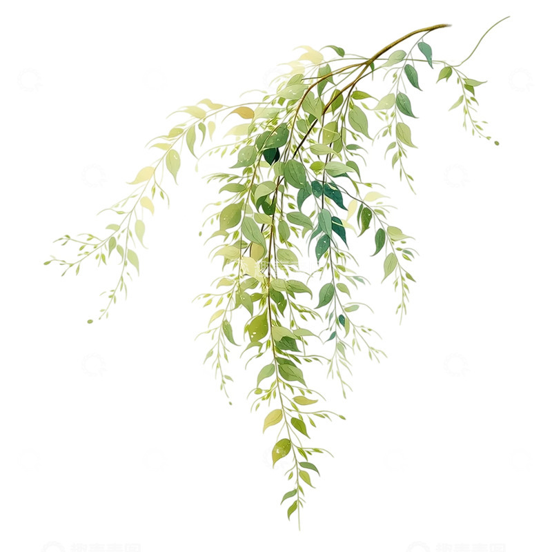 高清大图下载【趣麦麦图】细腻柳枝飘逸如梦境