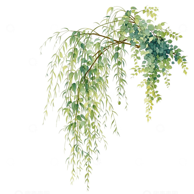 高清大图下载【趣麦麦图】柳枝垂挂如翠幕天幕
