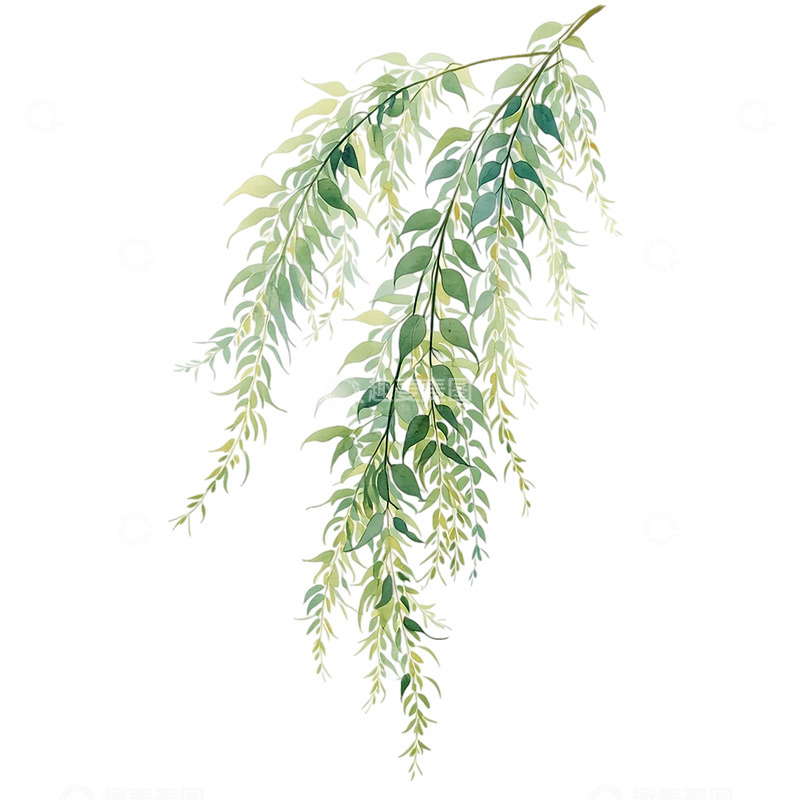 高清大图下载【趣麦麦图】柳枝轻拂风中舞动的诗篇