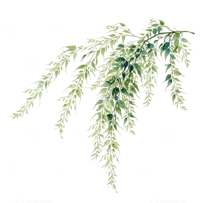 高清大图下载【趣麦麦图】春日柳枝轻舞如梦