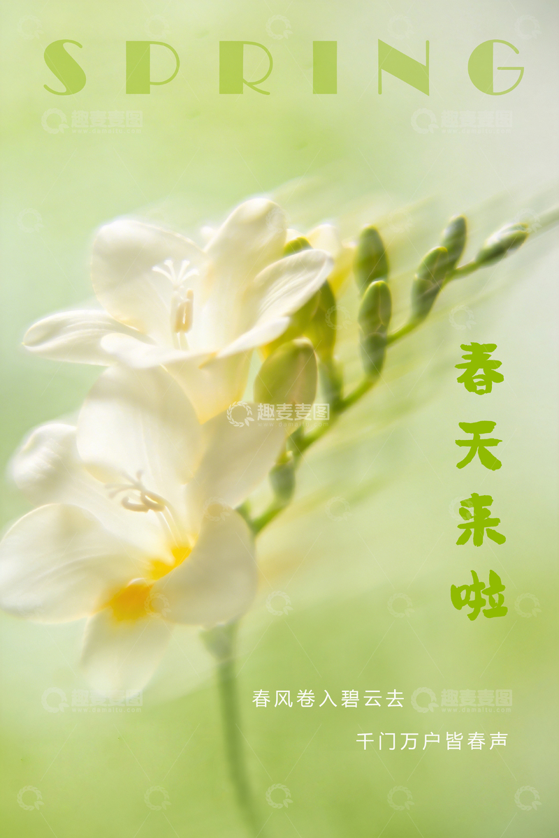 源文件下载【趣麦麦图】春花绽放清新海报